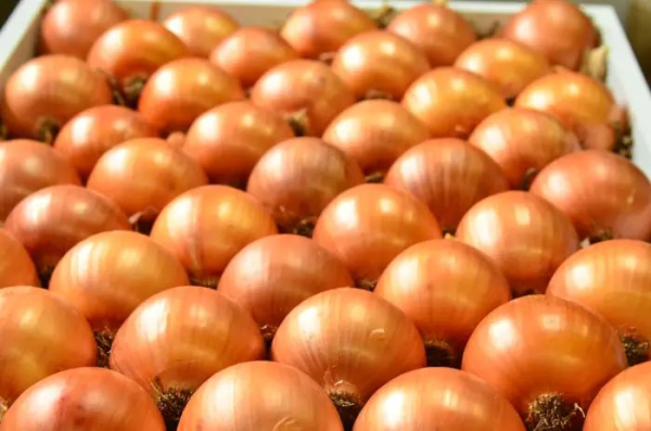 Onions