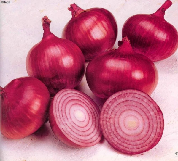 Onions
