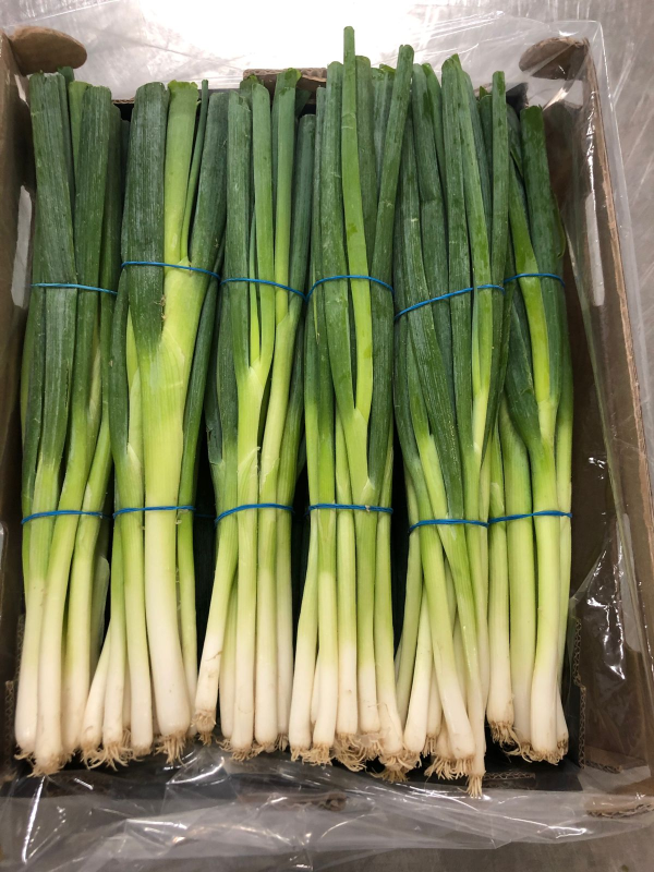 Onions