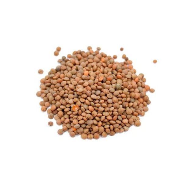 Brown lentils