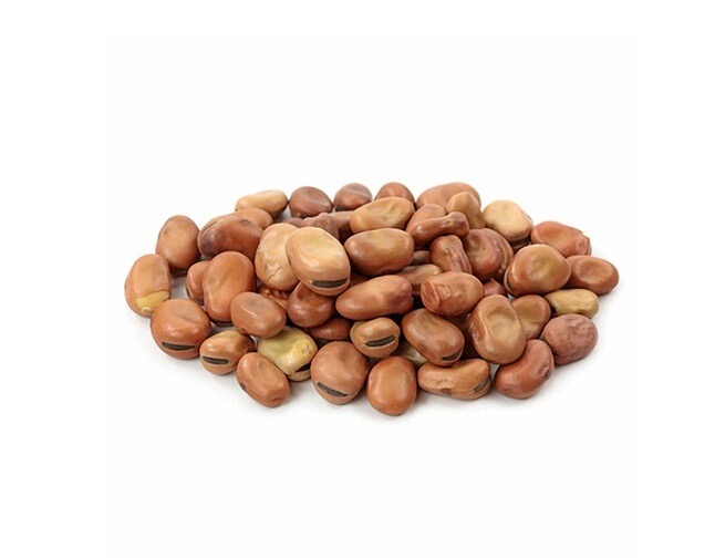 Fava Beans