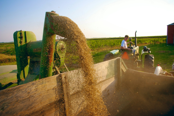 Agricultural Product Sourcing
